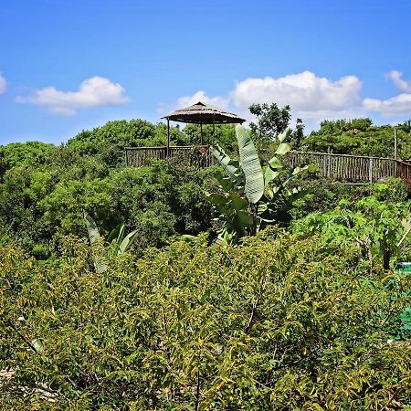 Kosi Bay Lodge Manguzi Екстер'єр фото