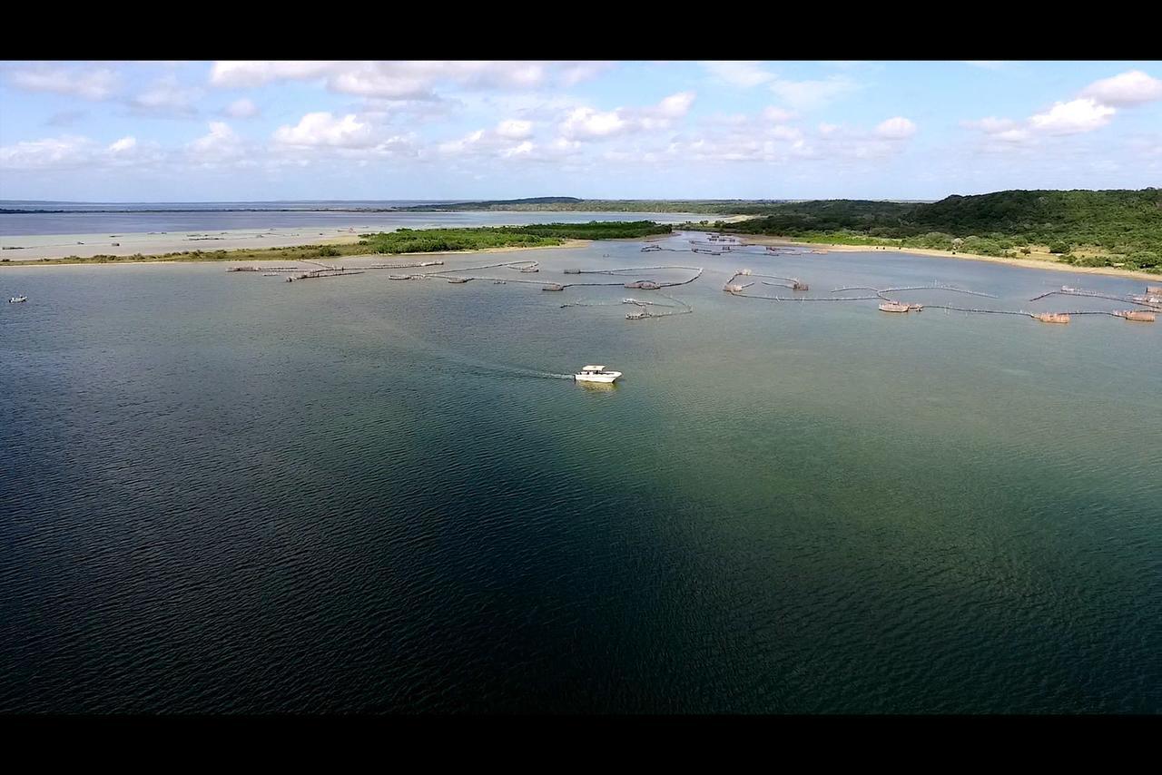 Kosi Bay Lodge Manguzi Екстер'єр фото